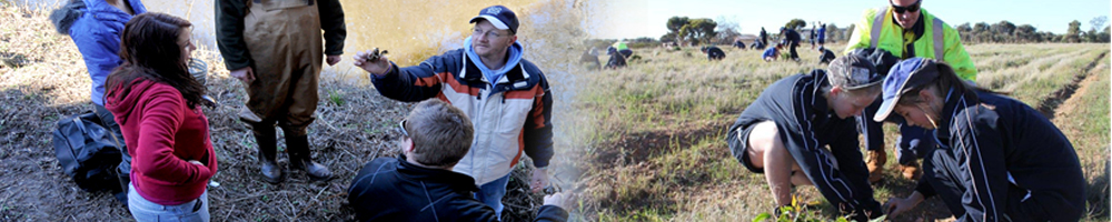 Land Survey Company